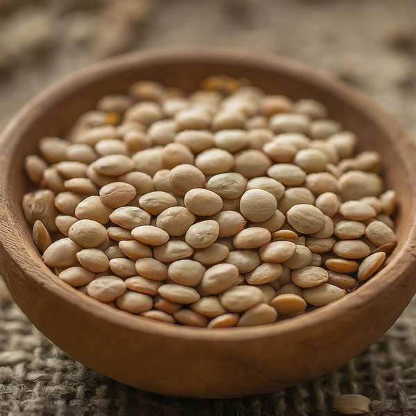 File:Gemini Generated Image 4tqy1i4tqy1i4tqy.webp