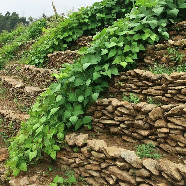 File:1200px-3.2 image.jpeg