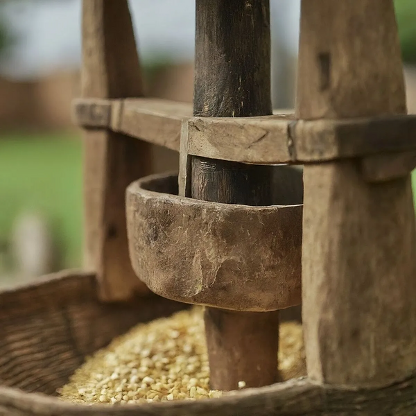 File:20260410180557!1200px-Img 5 1.webp