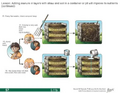 Thumbnail for version as of 14:42, 15 April 2026