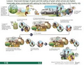 Thumbnail for version as of 14:38, 15 April 2026