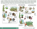 Thumbnail for version as of 14:39, 15 April 2026