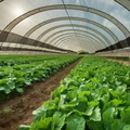 Thumbnail for version as of 14:38, 15 April 2026