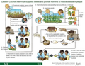 Thumbnail for version as of 14:38, 15 April 2026