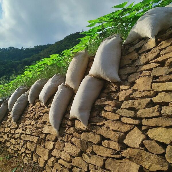 File:20260410180441!900px-3.1 image.jpeg