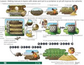 Thumbnail for version as of 14:39, 15 April 2026