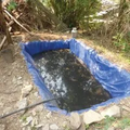 Thumbnail for version as of 14:41, 15 April 2026