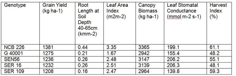 File:Capture 672.webp