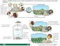 Thumbnail for version as of 14:40, 15 April 2026