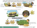 Thumbnail for version as of 14:41, 15 April 2026