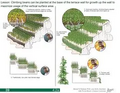 Thumbnail for version as of 14:38, 15 April 2026