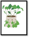 Thumbnail for version as of 14:39, 15 April 2026