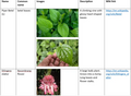 Thumbnail for version as of 14:41, 15 April 2026