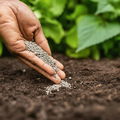 Thumbnail for version as of 14:41, 15 April 2026