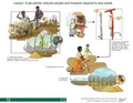 Thumbnail for version as of 14:39, 15 April 2026
