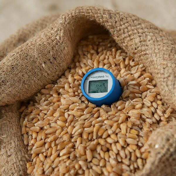 File:1200px-Img3 1.jpeg