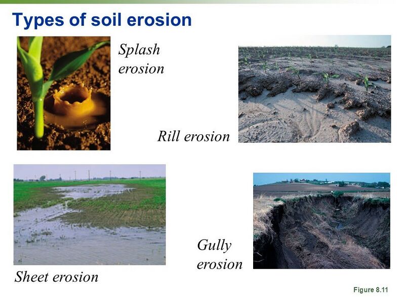 File:20260410180006!Erosion images.jpg