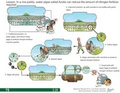 Thumbnail for version as of 14:38, 15 April 2026