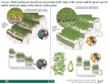 Thumbnail for version as of 14:38, 15 April 2026
