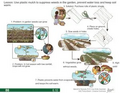 Thumbnail for version as of 14:38, 15 April 2026