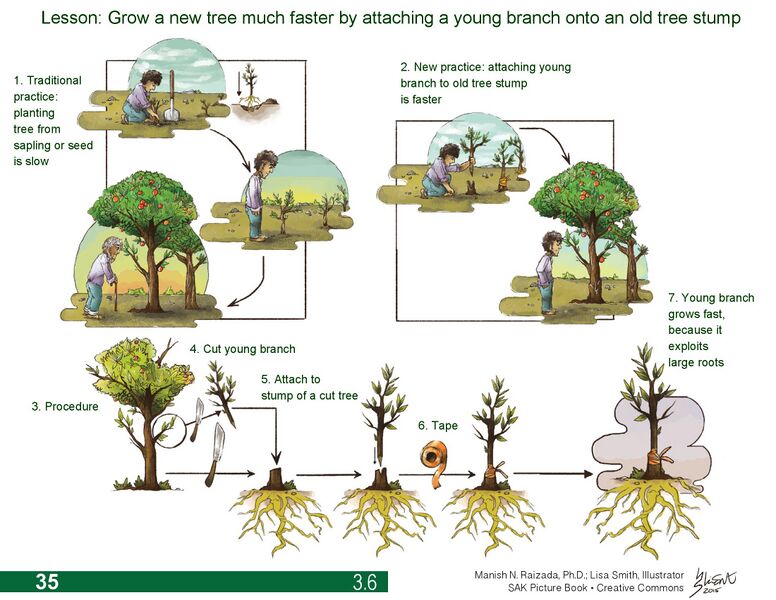 File:20260410180019!IMAGE 3.jpg