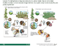 Thumbnail for version as of 14:39, 15 April 2026