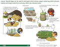 Thumbnail for version as of 14:39, 15 April 2026