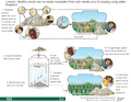 Thumbnail for version as of 14:42, 15 April 2026